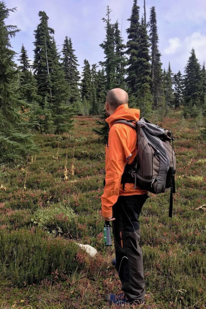 Seb looking at a grizzly bear in the distance
