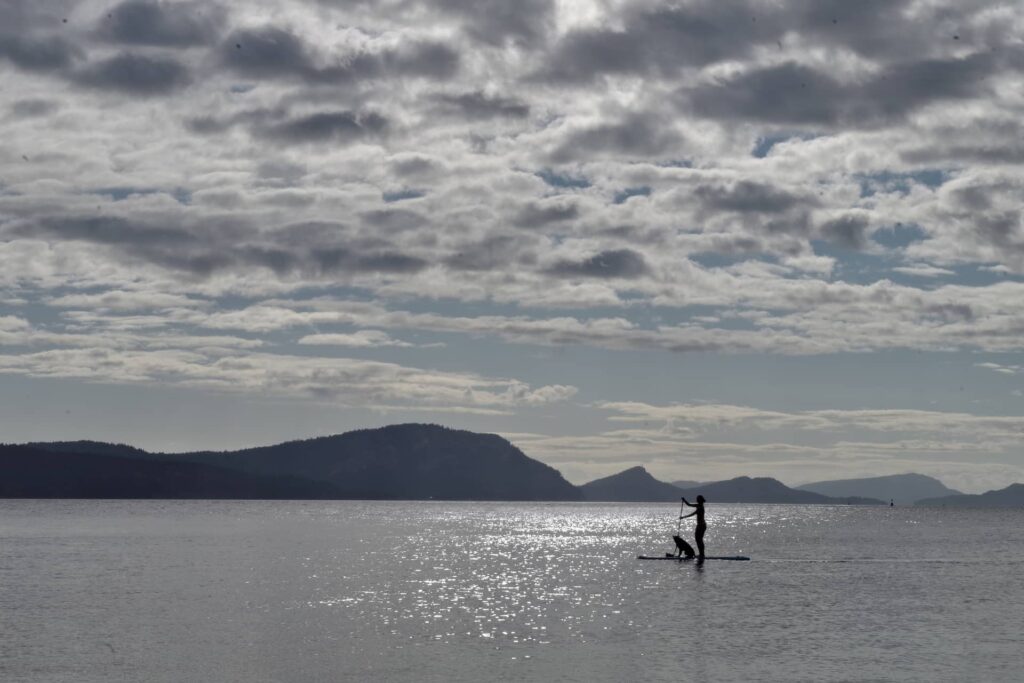 A SUP paddler enjoying the morning sun with her dog.