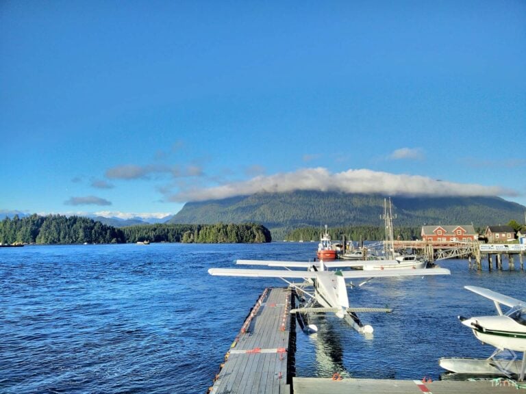 Float planes moored in the bay, with ocean and mountains behind.