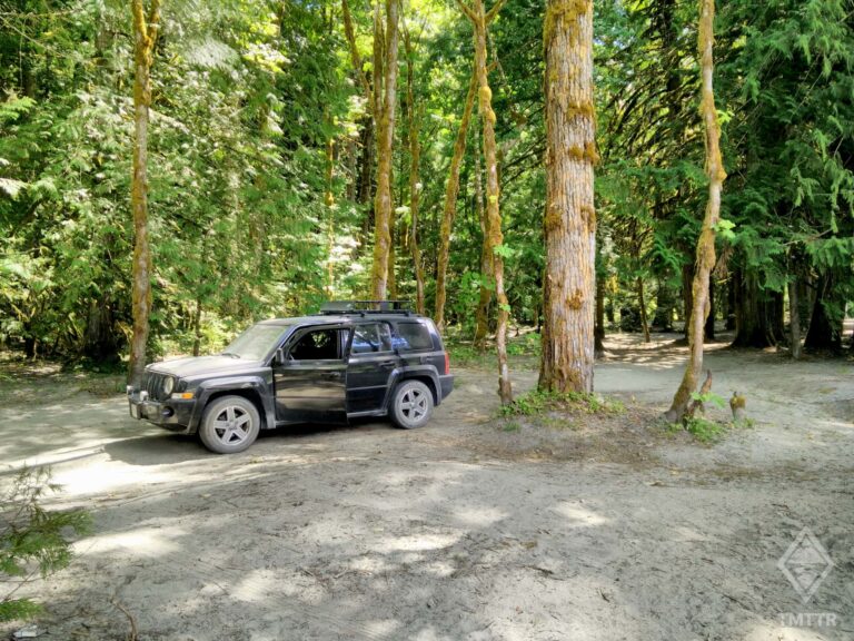 Jeep parked in clearing in the forest.